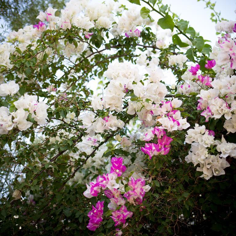 Prince Albert Country Stay 外观 照片